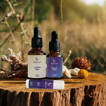 New Mom and Lactation Support Bundle
