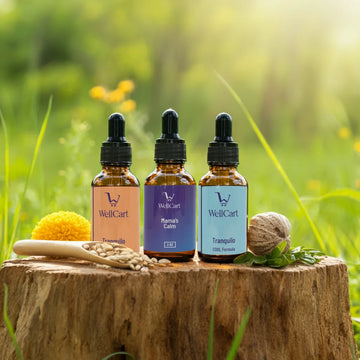 Calm and Relaxation Bundle